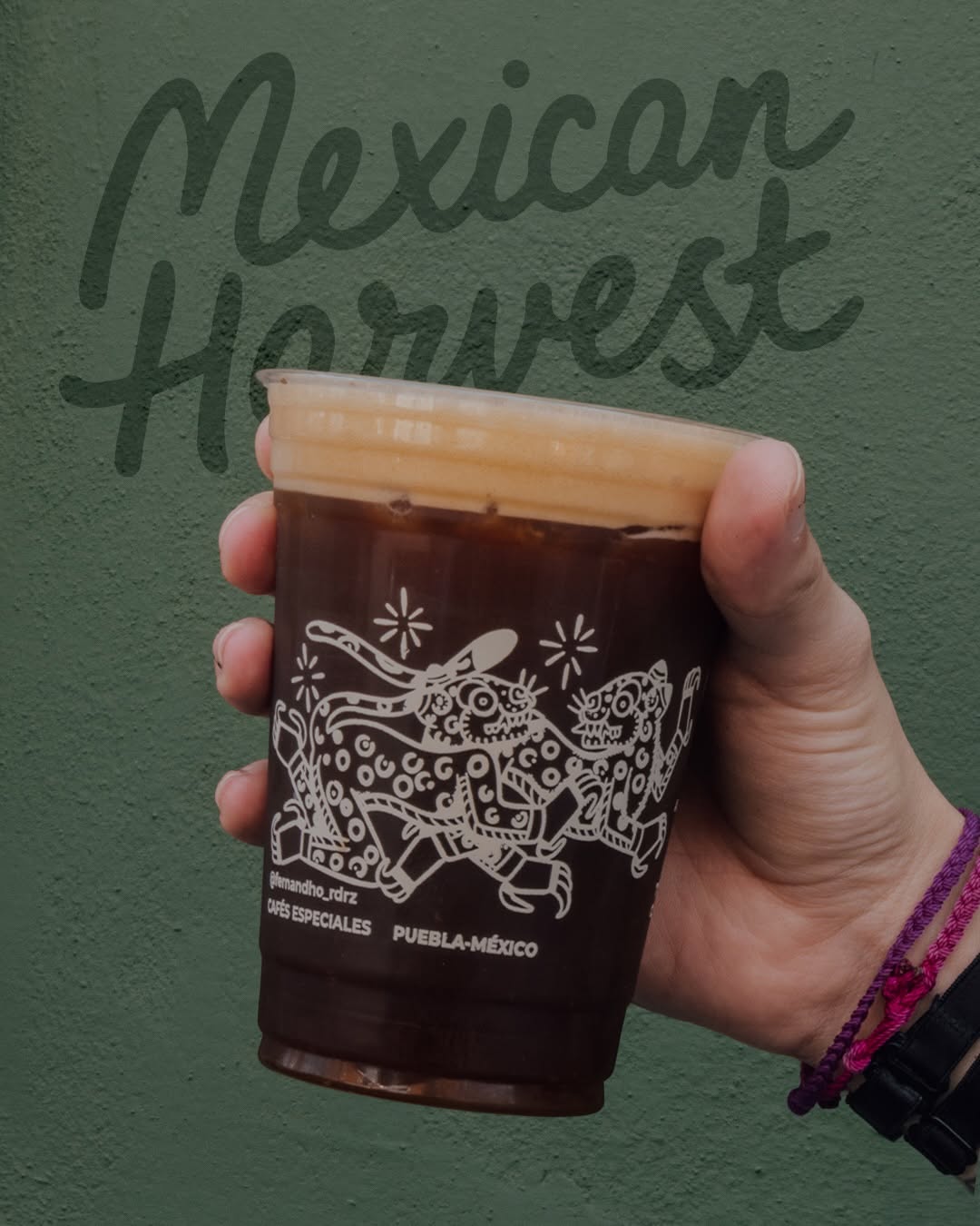 Vaso de coldbrew de Mexican Harvest frente a una pared verde