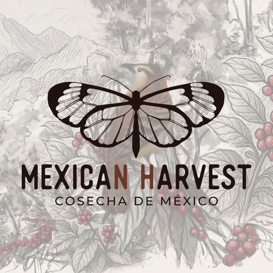 Ilustración del logotipo de Mexican Harvest: mariposa sobre un paisaje cafetalero dibujado a mano